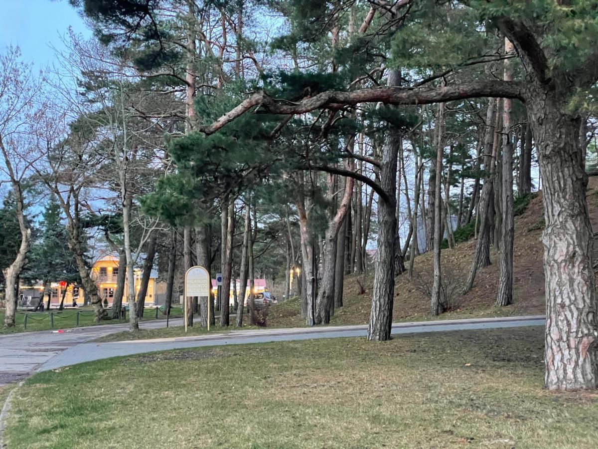 Daukanto Apartmentas Palanga Kültér fotó