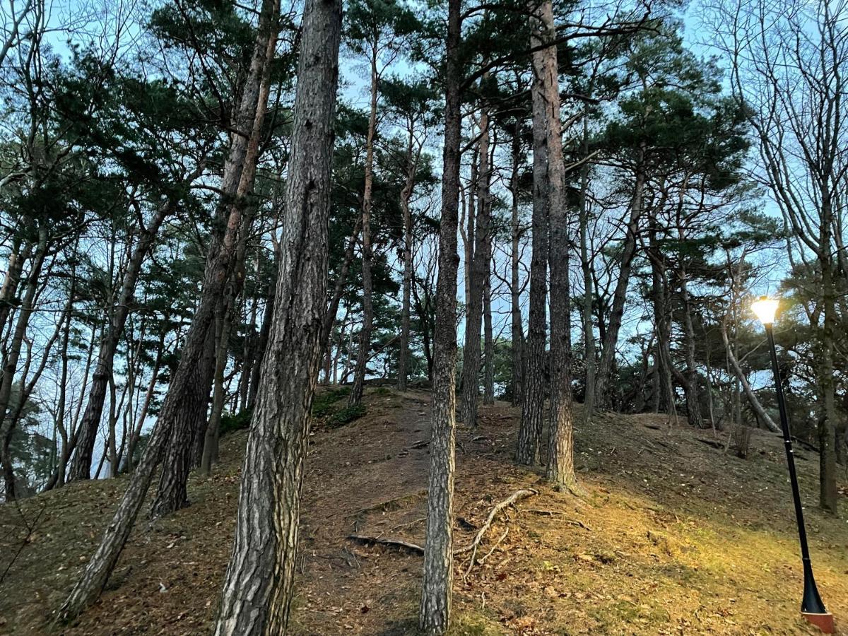 Daukanto Apartmentas Palanga Kültér fotó